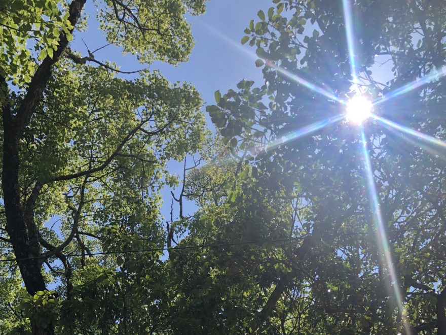 おっさんの感想文 ココではないドコか T Ace 今日より明日 僕は歳をとる